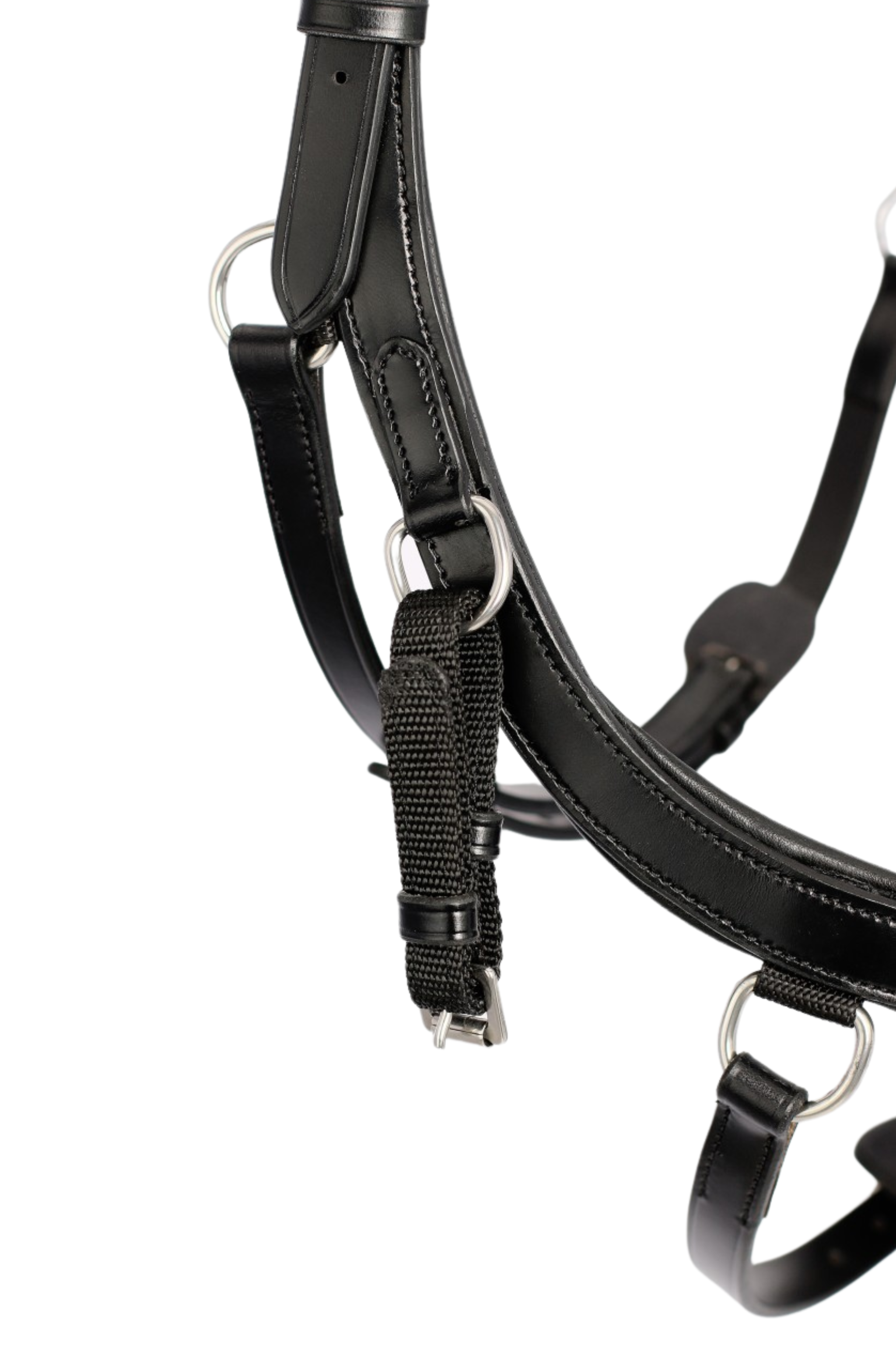 Training Bridle